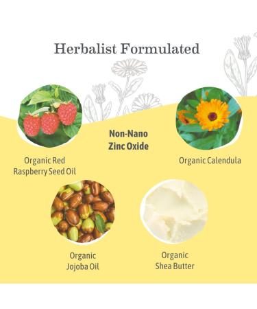 Earth Mama Tinted Mineral Sunscreen Lotion SPF 40 Contains Organic Argan and Red Raspberry Seed Oil 3-Ounces 3 Ounce (Pack of 1) - Buy Online on GoSupps.com