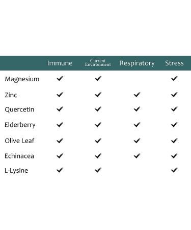 Zen Haus Respiratory Support Supplement - Elderberry, Zinc, Quercetin, Echinacea, Vegan Complex (60 Capsules) - Buy Online on GoSupps.com
