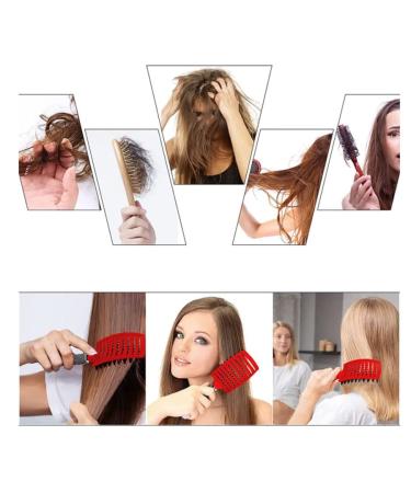 Arc Ventilation Brush | Fast Drying Curved Hair Dryer Brush | Anti-Static Tool for Wet/Dry Hair - Buy Online on GoSupps.com