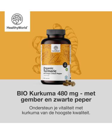 Be Healthy Group doo BIO Turmeric 480 mg with Ginger and Black Pepper 365 Capsules 1 year supply Combination of Natural Ingredients To Support the Immune System and the Whole Body - Buy Online on GoSupps.com