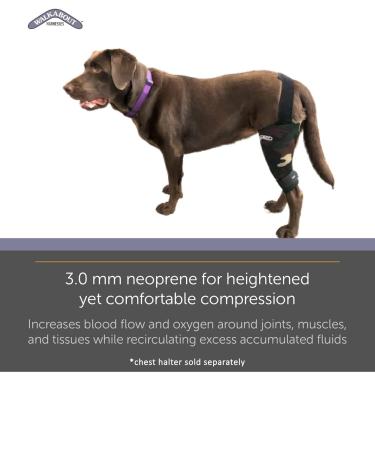 Walkabout Canine Knee Brace - Medium Left Side (10-11 inches) - Optimal Support for Dogs - Buy Online on GoSupps.com