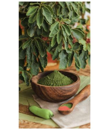100 g / 0 22 lb V ritable henn marocain Mehendi Poudre de henn | Mati re premi re de haute qualit