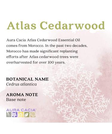 Aura Cacia Atlas Cedarwood Essential Oil - GCMS Tested Purity | 15ml (0.5 fl. oz.) - Buy Online on GoSupps.com