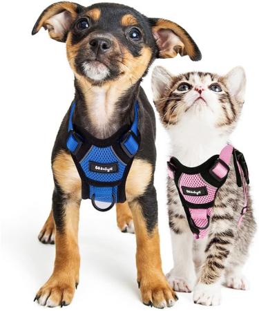 Breakproof Cat Dishes & Adjustable Kitten Vest Set - Reflective Stripes for Small Kittens (Blue XXS) - International Shipping - Buy Online on GoSupps.com