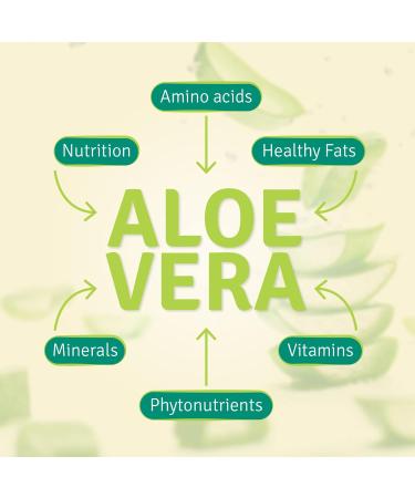 Aloe Life - Stomach Plus Formula Fast-Acting Tonic for Children Adults & Seniors Supports Healthy Digestion & Helps to Soothe Gas Bloating & Nausea Aloe Vera Concentrate Gluten-Free (16 oz) - Buy Online on GoSupps.com