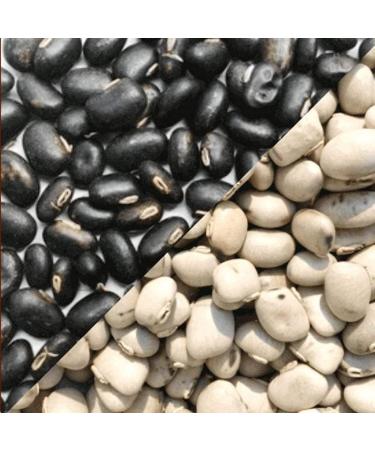 lazyHardia Kaunch Beej Black kaunch Beej 400 gm White Kaunch Beej 400 gm Combo Pack 800 Gram - Buy Online on GoSupps.com