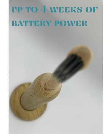 V EcoSonic Bamboo Toothbrush Kit - Eco-Friendly Sonic Electric Toothbrush with Bamboo Heads & Travel Case - Buy Online on GoSupps.com