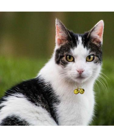 GAbraden 2 Extra Loud Cat & Dog Bells | Pet Tracker | Save Birds & Wildlife - Buy Online on GoSupps.com