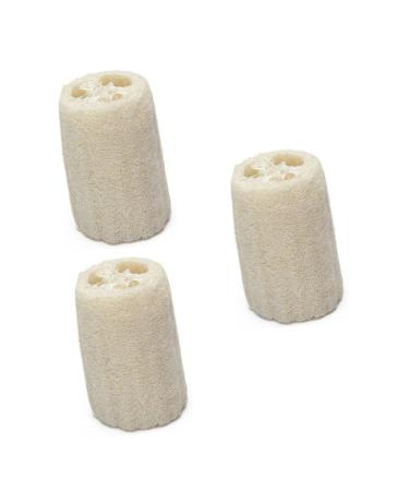 FOMIYES 3pcs Bath Loofahs Sponge Exfoliating Shower Loofahs Exfoliating Loofah Bathing Exfoliating Loofah Sponge Luffa Scrubber Sponge Cleaning Sponge Cleaning Scrubber Body Bath Flower 1 Count (Pack of 1)