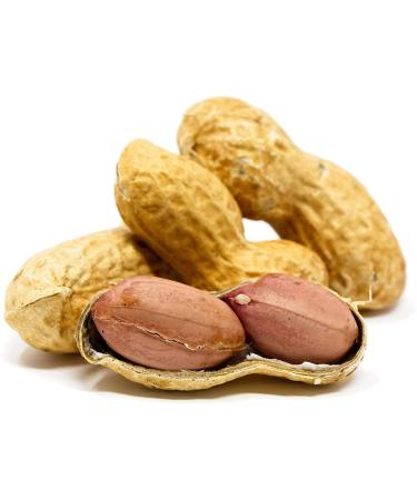 Sky | Premium USA Grown, Raw Peanuts in Shell For Squirrels, Unsalted Peanuts In The Shell, Boiled Peanuts, Jumbo Raw Peanuts in the Shell, Squirrel Peanuts in Shell Unsalted, Unsalted Peanuts for Birds and Squirrels, Gree…