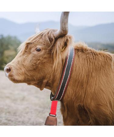 Happyyami Bear Bells - 2 Pack Loud Noisemakers for Outdoor Safety | Anti-Lost Cow Bells for Pets Hiking & Cycling - Buy Online on GoSupps.com
