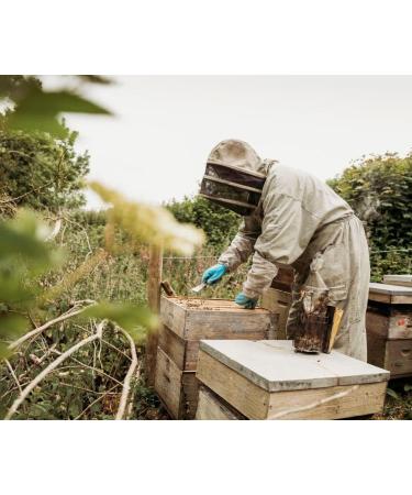 Afon Mel Wildflower Honey - Buy Online on GoSupps.com