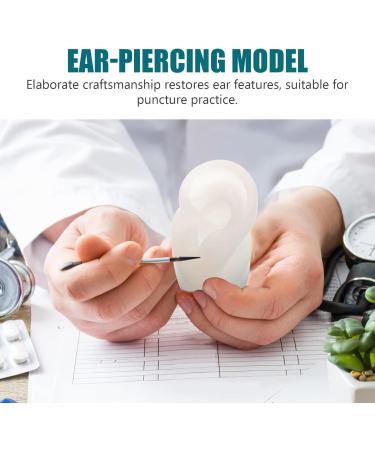FOMIYES Flexible Ear Model for Piercing Practice - Silicone Anatomy Display Education Tool for Body Art & Perforation Techniques - Buy Online on GoSupps.com