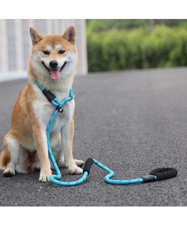 yeesport Dog Leash Nylon 5.9ft - Heavy Duty Nonslip Outside Outdoor Running Jogging Padded Handle Puppy Training Leash Blue M - Buy Online on GoSupps.com
