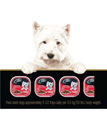 CESAR Adult Wet Dog Food Classic Loaf in Sauce Entr es - Beef 100g Tray (24 Pack) Beef 100 g (Pack of 24) - Buy Online on GoSupps.com