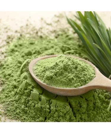 Gerstengrass Powder Bio 500g - Raw 100% Barley Grass from Germany | Antioxidants & Refresh Control | vom-achterhof - Buy Online on GoSupps.com