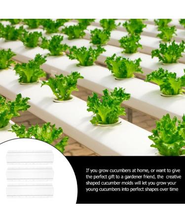 GANAZONO 3pcs Cucumber Mold Square Cucumber Growing Molds Solar Water Fountain Stereotypes Pp Ginseng Fruit - Buy Online on GoSupps.com