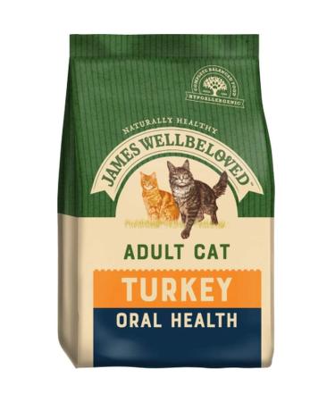 James Wellbeloved Adult Oral Health Turkey 4 kg Bag Hypoallergenic Dry Cat Food 4 kg (Pack of 1)