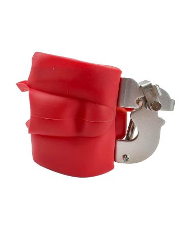 Teeth Soft Gum Phantom Head Study Model - 28 Removable Teeth & Cheek Simulation for Dental Education | International Shipping Available - Buy Online on GoSupps.com