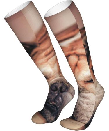 English Bulldog Compression Socks for Men & Women - 15-20 mmHg Circulation Support for Running & Cycling - Buy Online on GoSupps.com