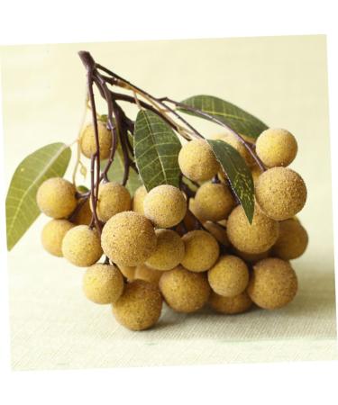 Ciieeo Doll House Diy Toy Fake Longyan Model Kitchen Fruit Longan Model Fruit Photography Props Fake Longan Decor Simulation Fruit Simulation Fake Fruit Faux Fruit Plastic Peach Miniature Khaki 18x18cm - Buy Online on GoSupps.com