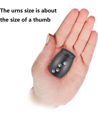 TATAANTY Small Pet Urns for Dog Ashes - Keepsake Mini Urn for Cats & Dogs - Aluminum Black Holder - Buy Online on GoSupps.com