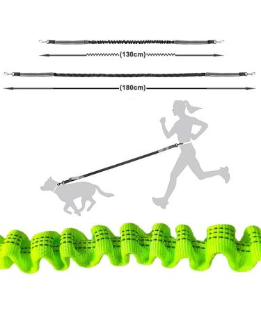 Aiqeer Green Hands Free Dog Leash Adjustable Waist Belt and Retractable Bungee Leash Jogging Dog Leash with Reflective Stitching (Grey Handle) - Buy Online on GoSupps.com