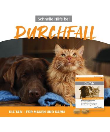 alfavet Dia Tab chewable tablets for relief of acute intestinal absorption disorders during and after acute diarrhea 20 x 5.5 g - Buy Online on GoSupps.com