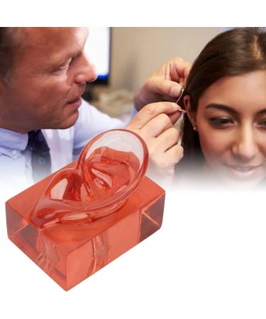 Transparent Acrylic Ear Model for Right Ear - Ideal for Observation | Buy Internationally - Buy Online on GoSupps.com