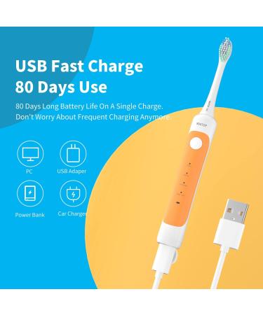 Buy CD-12 Electric Toothbrush for Adults | Rechargeable Sonic Tooth Brush with 4 Modes Pressure Sensor & 80-Day Battery Life | Best Oral Care Solution - Buy Online on GoSupps.com