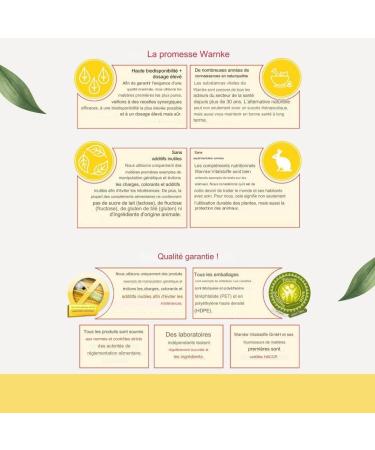 L-Theanine 500mg - 60 tablets - Adaptogen - Animated acid | Warnke Vitalstoffe - Quality from German pharmacies - Buy Online on GoSupps.com