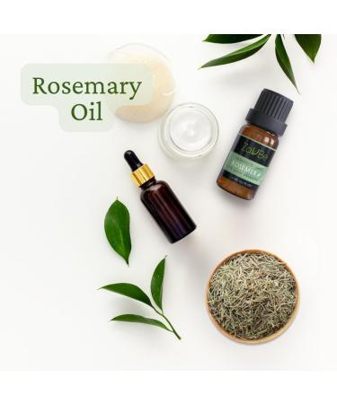 MABUA Peppermint Essential Oil | 100% Pure Undiluted Natural Aromatherapy Therapeutic Grade 10 mL (1/3 oz) - Buy Online on GoSupps.com