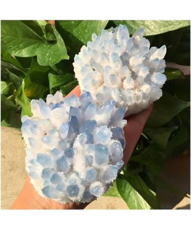 Home Decor 1pc Natural Blue Crystals Quartz Cluster Freeform Reiki Stones Room Home Office Aquarium Decoration Accessories Gemstone Reiki Household qiangang (Size : 500-550g) - Buy Online on GoSupps.com