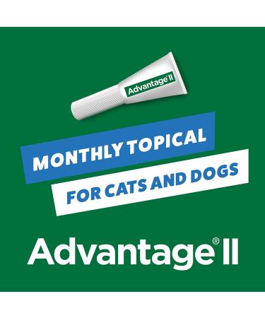 Advantage II Flea Treatment for Kittens - 2 Pack, 0.041 LB - Buy Online on GoSupps.com