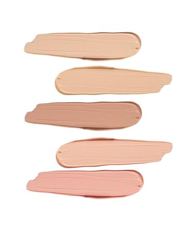 LISE WATIER Portfolio Professional Correctors 4-in-1-Beiges 0.71 oz | Concealer Palette - Buy Online on GoSupps.com