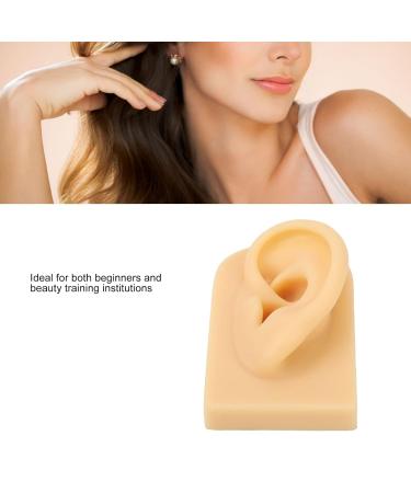 Flexible Human Silicone Ear Model for Hearing Aid Display | Elastic Fake Ear for Cosmetic Training - International Shipping - Buy Online on GoSupps.com