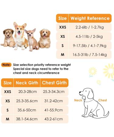 Eyein No Pull Small Dog Harness & Lead Set - Adjustable Lightweight Vest Harness for Small Dogs - Escape Proof & Easy Fit - XXS Black - Buy Online on GoSupps.com