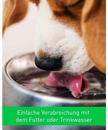 Vetoquinol Calo-Pet Paste Pack of 3 x 120g Paste Food Supplement for Dogs and Cats Use in Cases of High Nutritional Needs to Compensate for Deficiency Symptoms - Buy Online on GoSupps.com