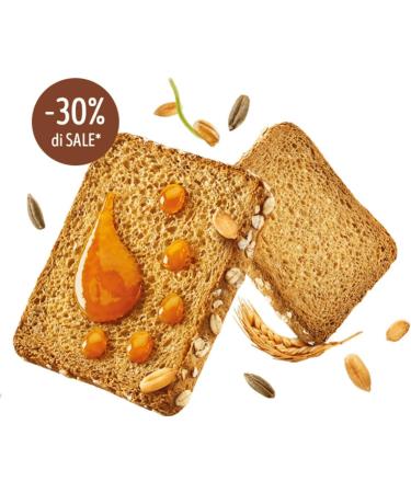  Italian Gourmet E.R. Misura Natura Ricca Segale e Avena Set of 12 Rusks with Sprouted Grains 320 g + Pulpa Italian Gourmet 400 g - Buy Online on GoSupps.com
