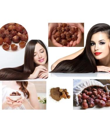 Organic AnNafi Reetha Soap Nuts | Natural Hair Care & Growth | Eco-Friendly Laundry Detergent | Aritha/Kunkudukaialu | 100g - Buy Online on GoSupps.com