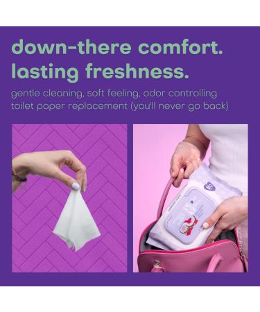 Violet Vibes Moisturizing Flushable Bathroom Wet Wipes for Women - Aloe Coconut Rose - 80 ct Pack - Buy Online on GoSupps.com