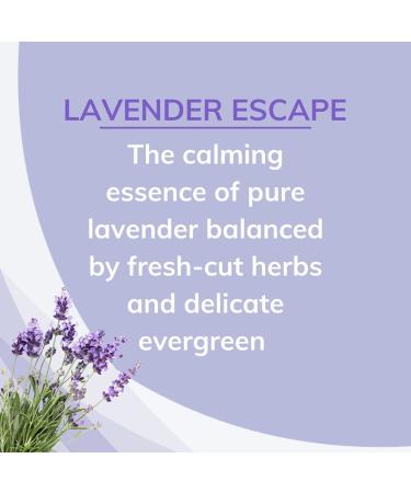 Citrus Magic Odor Absorbing Solid Air Freshener - Lavender Escape, 8-Ounce (Pack of 3) - Buy Online on GoSupps.com