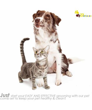 Brillirare 2 Pack Flea Lice Comb Stainless Steel Dog Cat Grooming Combs with Rounded Teeth Long-tooth Professional Pet Tear Stain Remover Dematting Tool for Small Medium & Large Pets - Buy Online on GoSupps.com