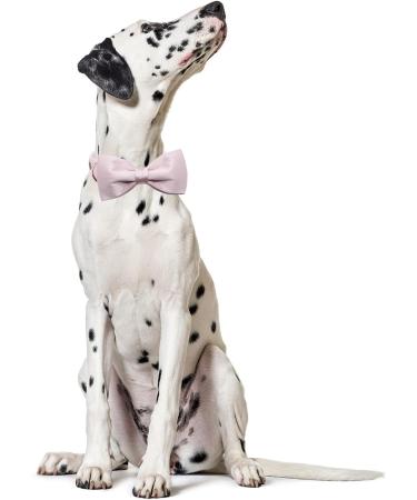 Lionet Paw's Comfortable Silk Pink Dog Collar with Removable Fly for Large Dogs | Adjustable Neck 40-60cm | 1 Pack - Buy Online on GoSupps.com