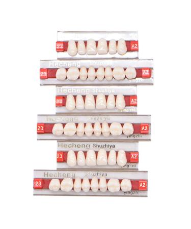 84 Pcs Dental Synthetic Resin Tooth Denture 3 Sets False Teeth for Halloween Horror Teeth 23 A2