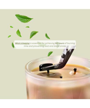 Tranquility Vanilla & Lavender Beeswax Candle - 90+ Hours Non-Toxic Scented Candle for Relaxation & Aromatherapy - 15 oz - Buy Online on GoSupps.com