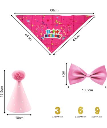4-Piece Pet Birthday Party Supplies | Dog Triangle Scarf Hat & Gold Pink Decorations for Small Medium & Large Pets - Buy Online on GoSupps.com