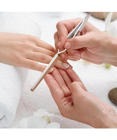 Nail Tool Nail to Hold Nails Down | C Curve Nail for Acrylic Nails Rustproof Manicure Tools with Non-Slip Handle Salon Littryee - Buy Online on GoSupps.com