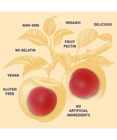 Garden of Life Organic Apple Cider Vinegar Energy Gummies - 63 Vegan Gummies - Buy Online on GoSupps.com