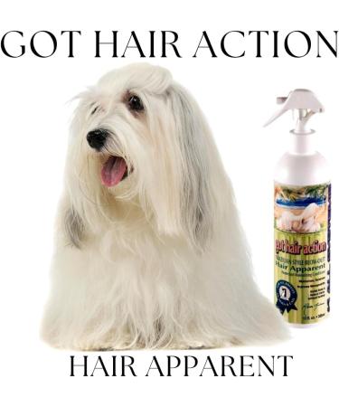Got Hair Action - Hair Apparent Grooming Spray - Buy Online on GoSupps.com